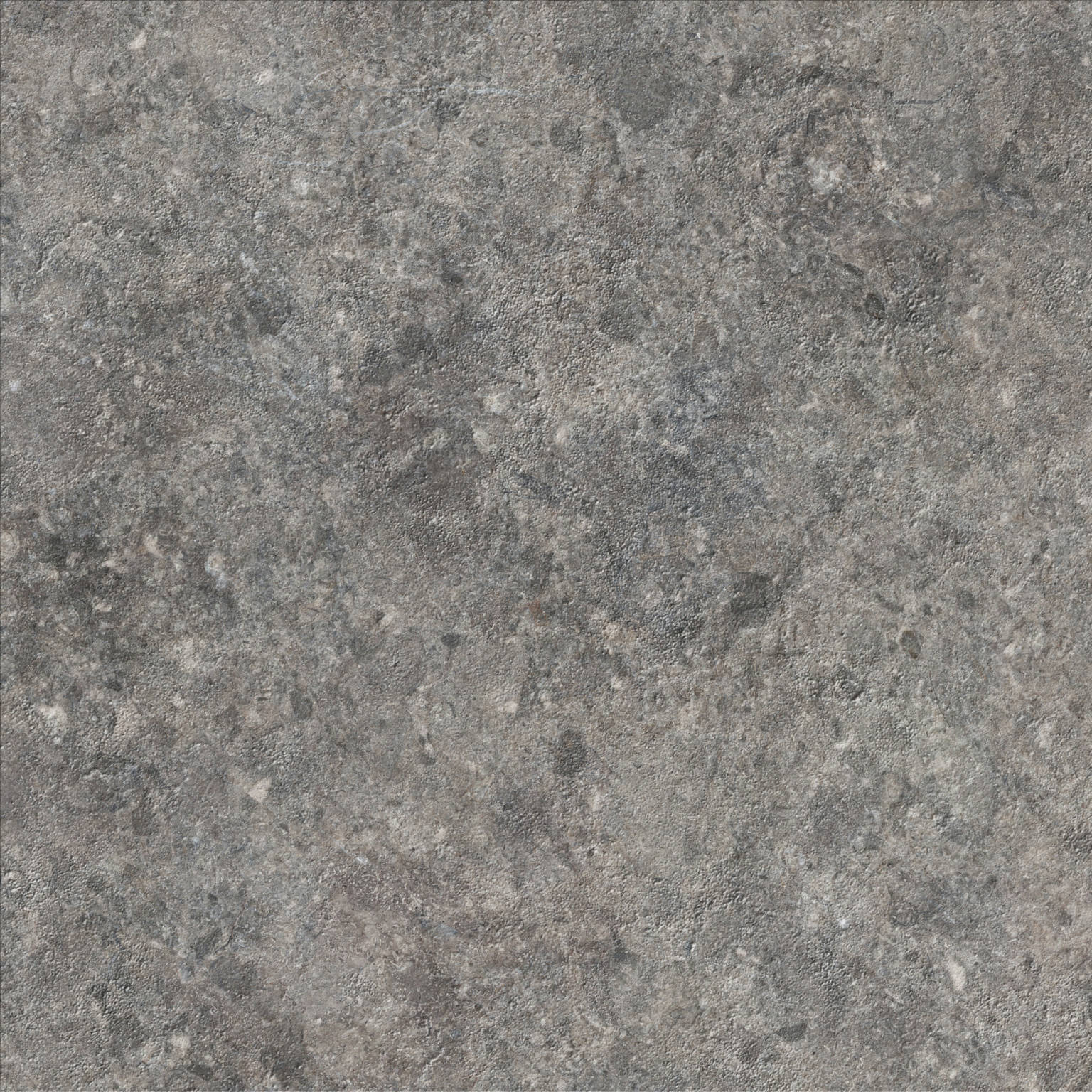 PAV. CAVALLINA 60X60 GRIS SOFT | Saloni