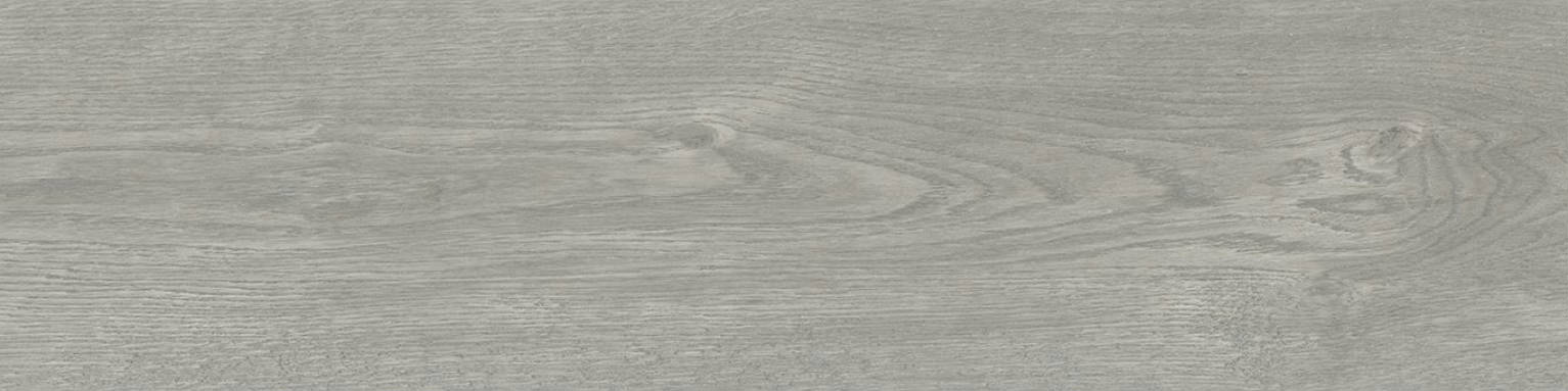 PAV. ROBUR 24.8X100 GRIS | Saloni